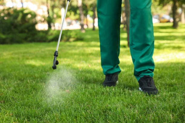 Best Pest Prevention Services  in Wakefield, VA