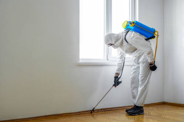 Best Flea Control Services  in Wakefield, VA