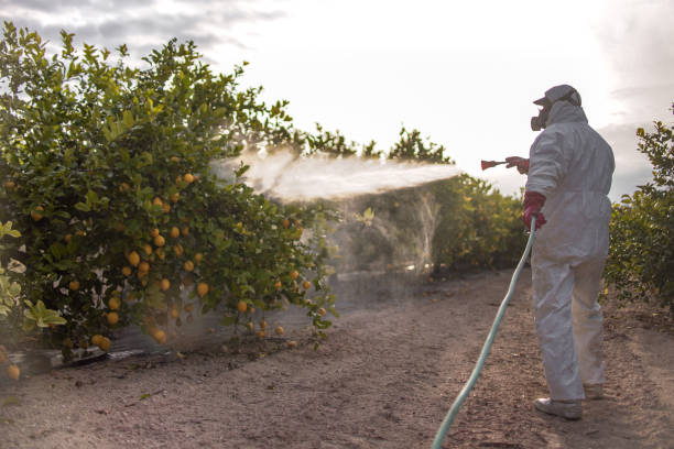 Best Affordable Pest Control Services  in Wakefield, VA