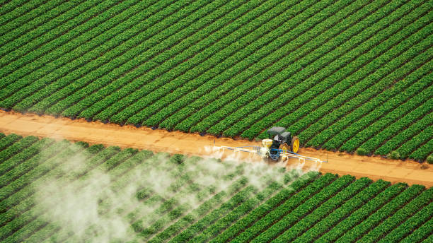 Best Insect Control  in Wakefield, VA