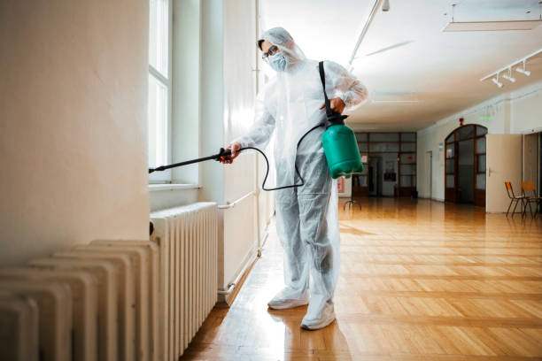 Best Flea Control Services  in Wakefield, VA