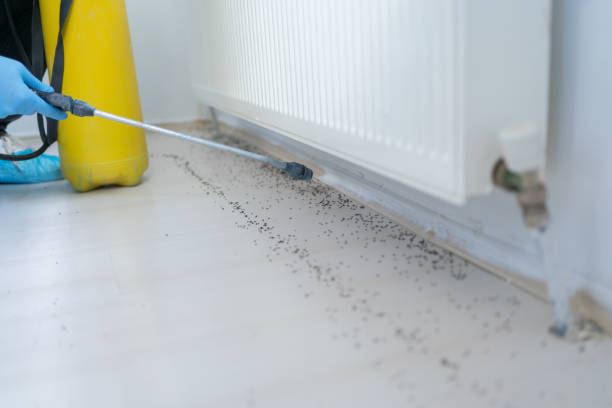 Best Cockroach Control Services  in Wakefield, VA