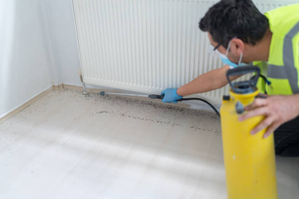 Best Termite Control Services  in Wakefield, VA