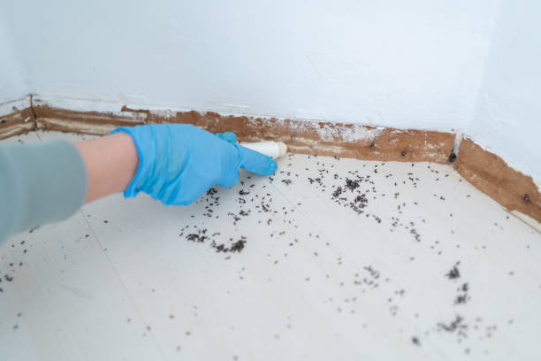 Best Residential Pest Control  in Wakefield, VA