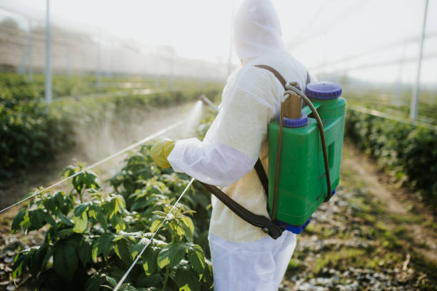 Best Pest Inspection Near Me  in Wakefield, VA